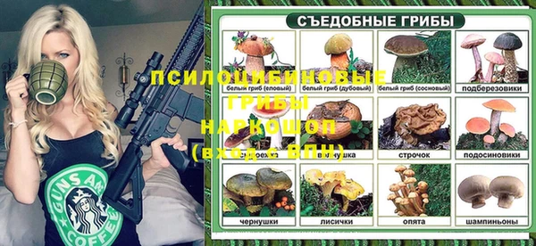 индика Семикаракорск