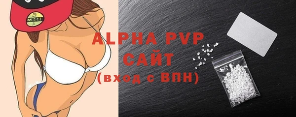 индика Семикаракорск