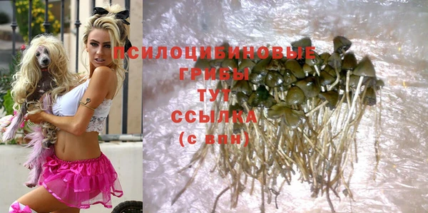 a pvp Семёнов