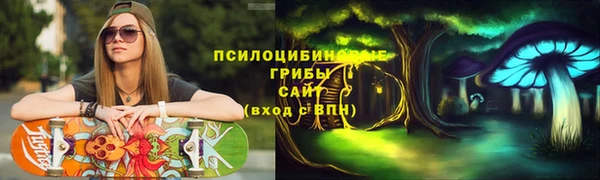 индика Семикаракорск