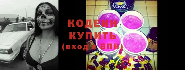 индика Семикаракорск