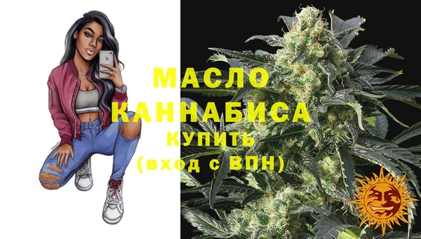 индика Семикаракорск