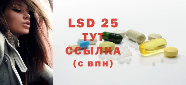 индика Семикаракорск