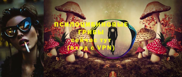 индика Семикаракорск