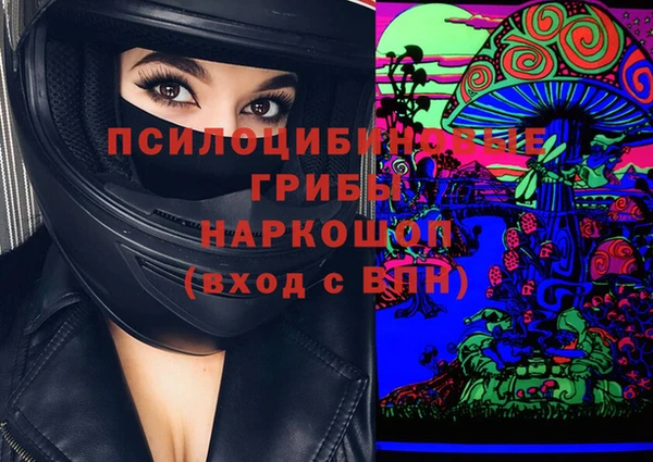 индика Семикаракорск