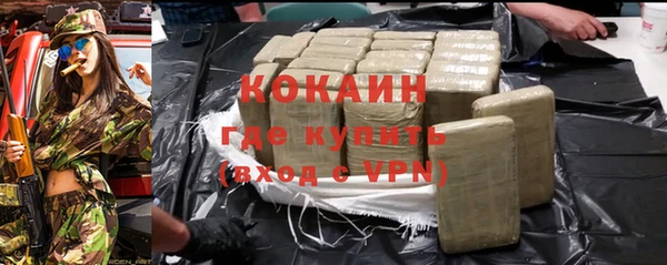 индика Семикаракорск