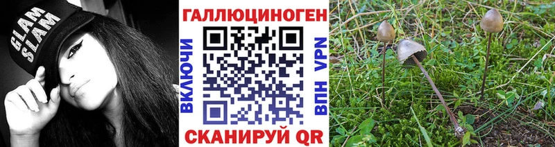 Галлюциногенные грибы прущие грибы  купить наркотики сайты  Абдулино 